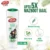 Lifebuoy Herbal Shampoo 370ML
